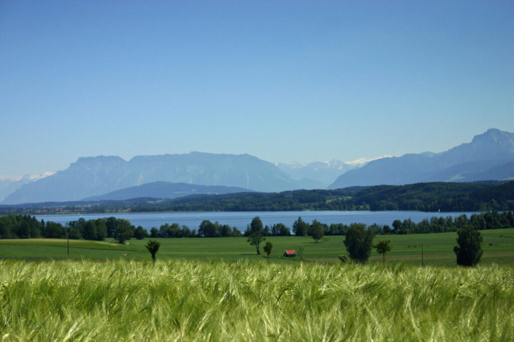 Blick auf Alpenlandschaft mit Wiesen und dem Waginger See im Vordergrund.